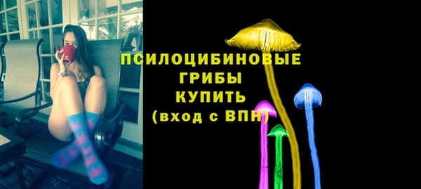 молекула духа Алексин