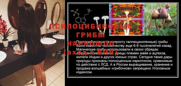 apvp Алзамай